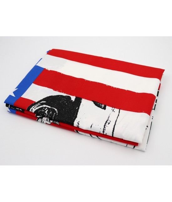 Bluesi - Telo arredo 1 posto con fantasia stampata new yorkin puro cotone: america.